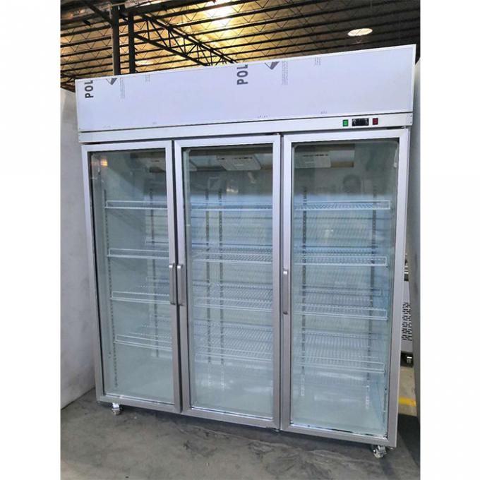 Annuncio pubblicitario di vetro del frigorifero della porta di doppio strato del CE 600W 0