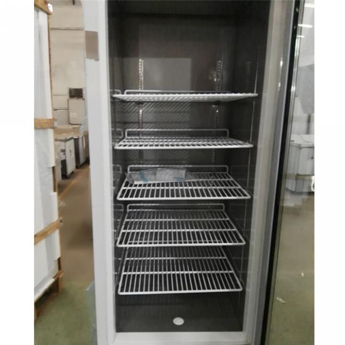 Congelatore di frigorifero commerciale di acciaio inossidabile del CE 250W 2