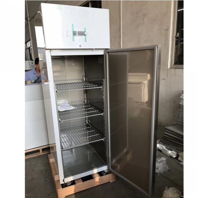 Congelatore di frigorifero commerciale di acciaio inossidabile del CE 250W 1